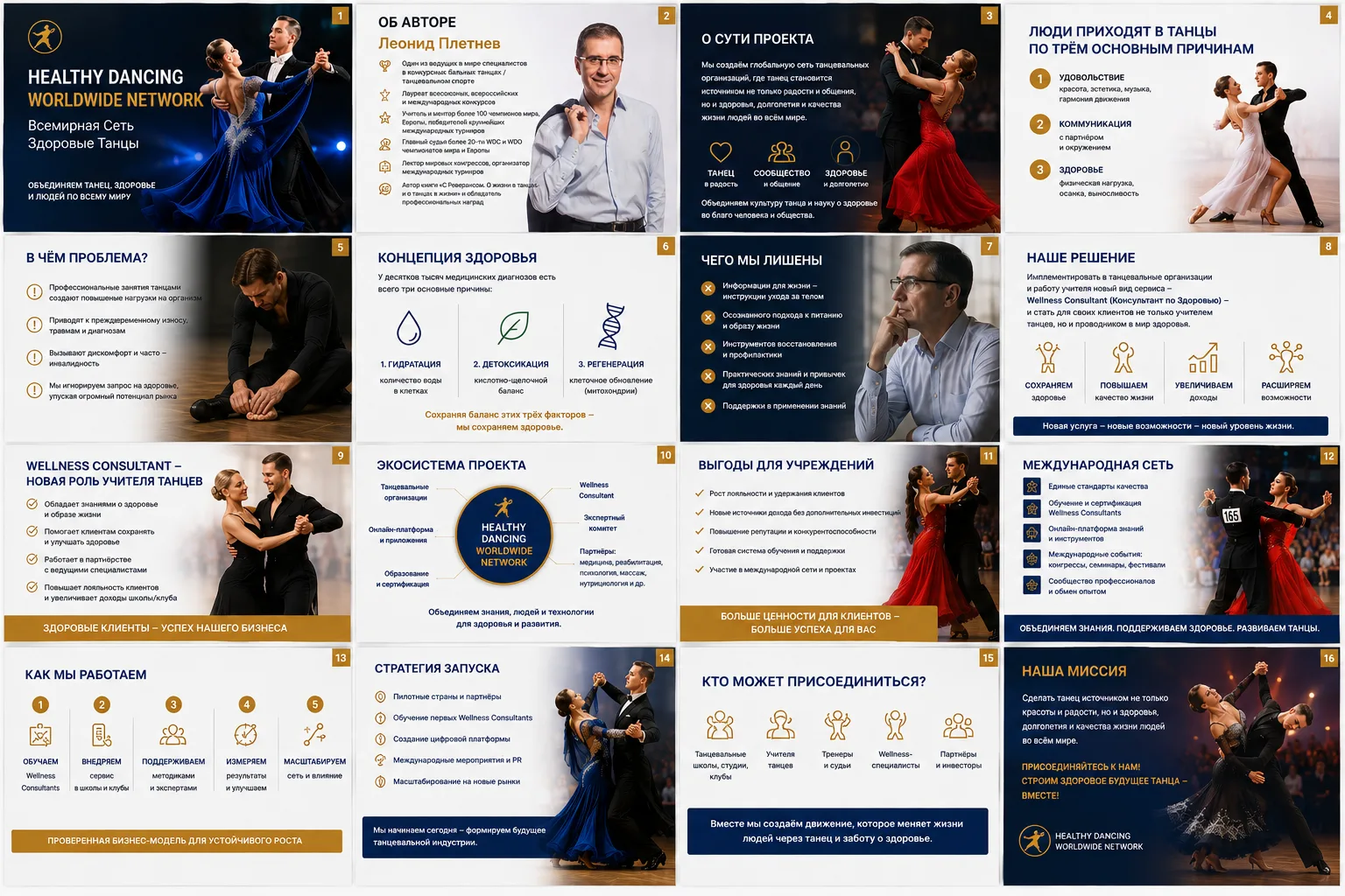Overview of the 16 slides of the Healthy Dancing Worldwide Network presentation